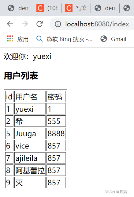 Javaweb20220823-JSP-index-列表展示效果图
