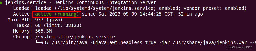 Ubuntu 20/22 安装 Jenkins