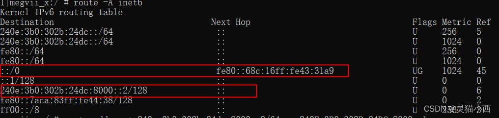 IPv6项目开发测试记录