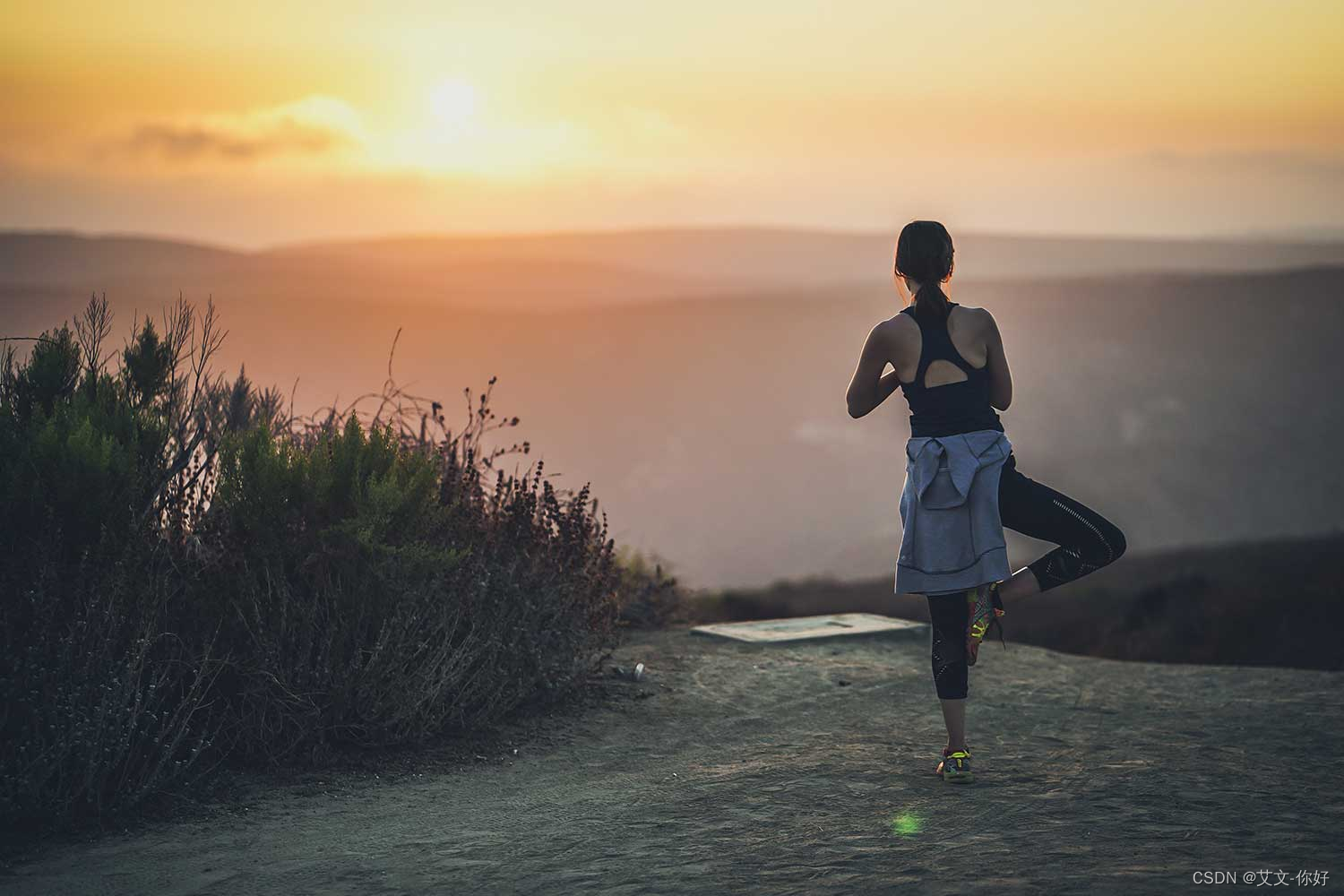 意志力提升的关键-csdn博客