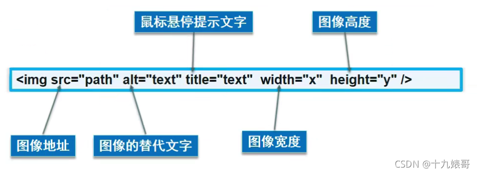 [外链图片转存失败,源站可能有防盗链机制,建议将图片保存下来直接上传(img-h1HpjQPL-1630844557022)(C:\Users\十九婊哥\AppData\Roaming\Typora\typora-user-images\image-20210905175521442.png)]