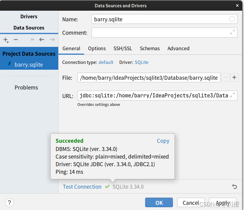 IDEA中使用SQLite数据库_idea sqlite-CSDN博客