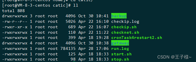 Linux ll指令介绍