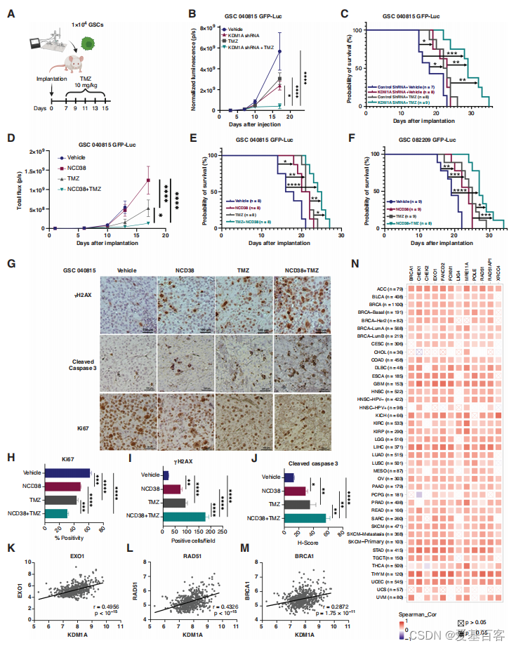 Neuro-Oncology | IF:15.9  CUTTag和RNA-seq联合解析胶质母细胞瘤的耐药性