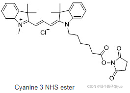 花氰染料cy3 Nhs Ester Cy3 琥珀酰亚胺 活化酯磺化处理的意义 It Blog
