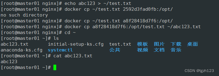 Docker的使用说明