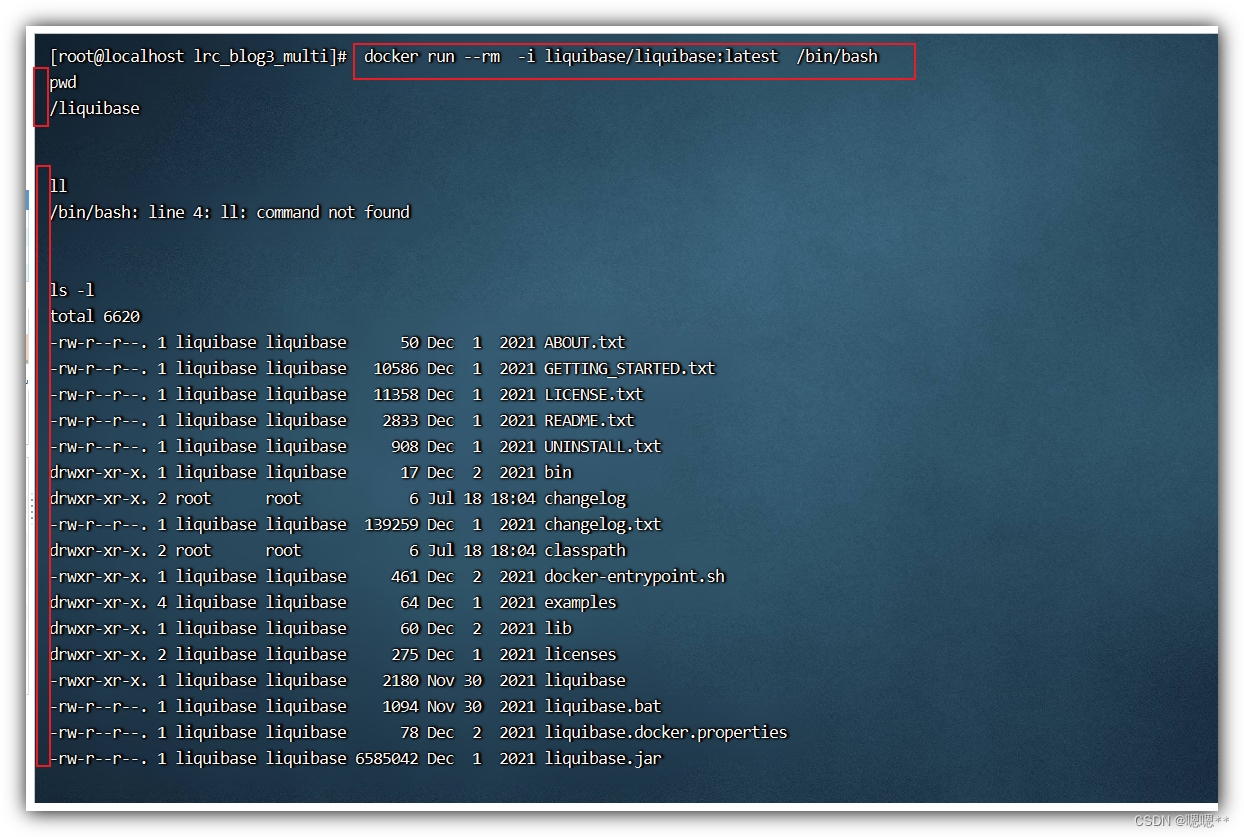 Docker学习 - 进入容器内部的两种方式