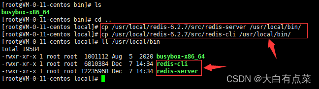 从Redis源码包下src目录编译出来的 redis-server 和 redis-cli 复制到 /usr/local/bin/ 目录