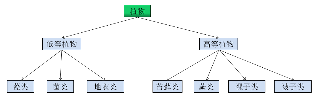 关系举例传递性:低等植物和高等植物都属于植物,其拥有植物的共同特征