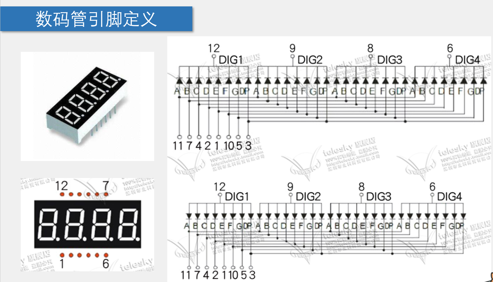 单个数码管引脚图图片