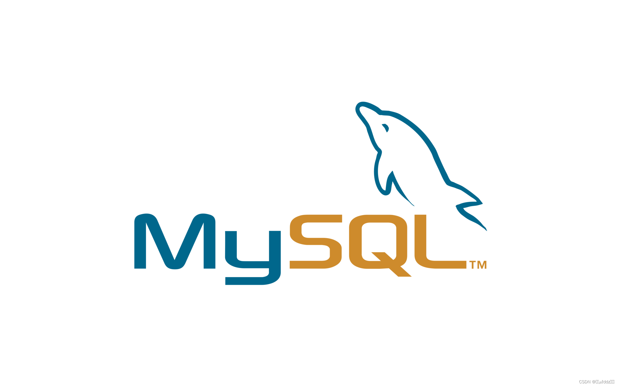 在MySQL中查看数据库和表的数据大小