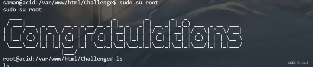 Vulnhub 渗透练习（四）—— Acid