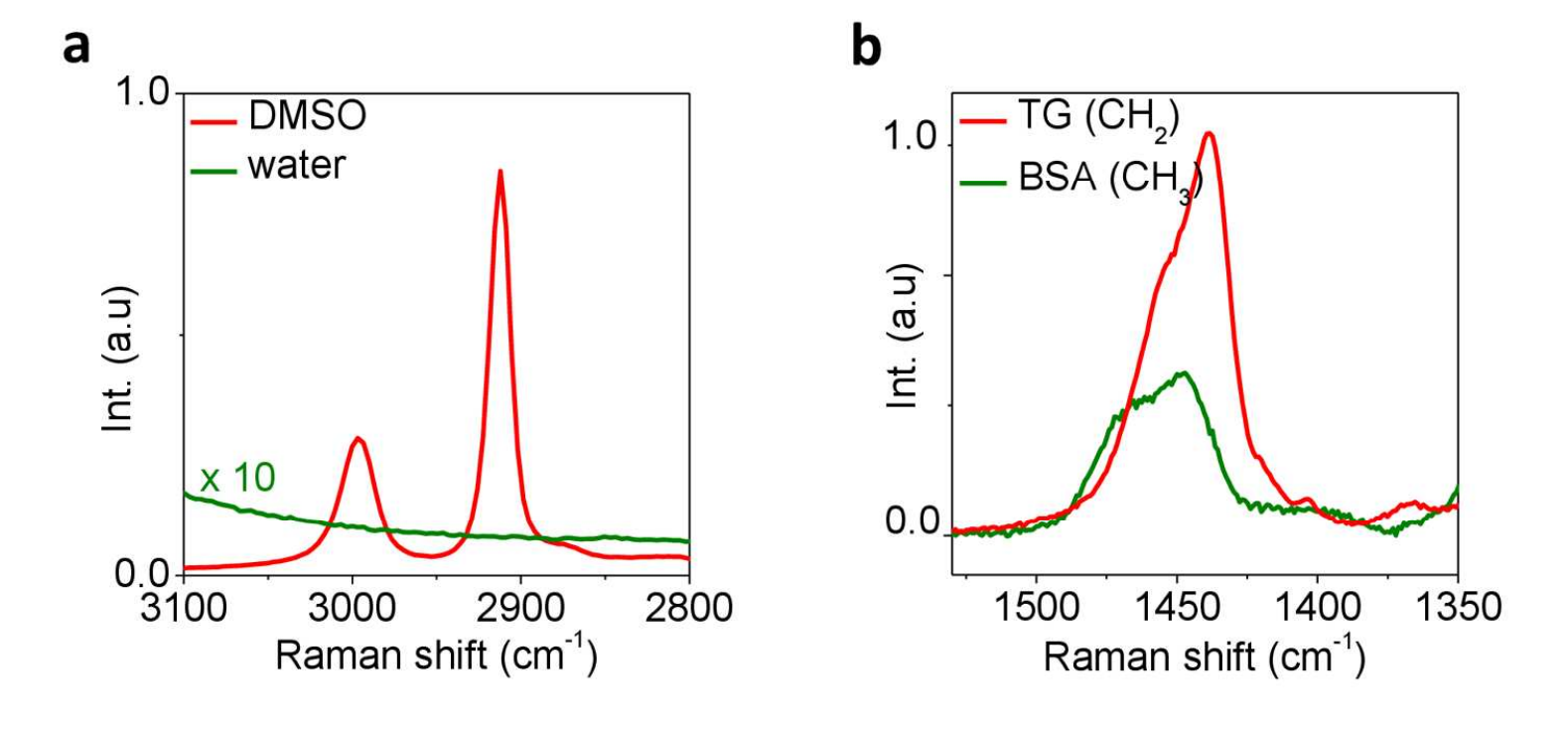 【高光谱图像的去噪算法】通过全变异最小化对受激拉曼光谱图像进行去噪研究（Matlab代码实现）