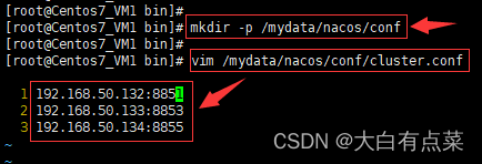 1、先创建目录 mkdir -p /mydata/nacos/conf ，再新建 cluster.conf 并填入Nacos Server 集群的服务器IP和端口号