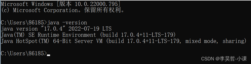 java -version