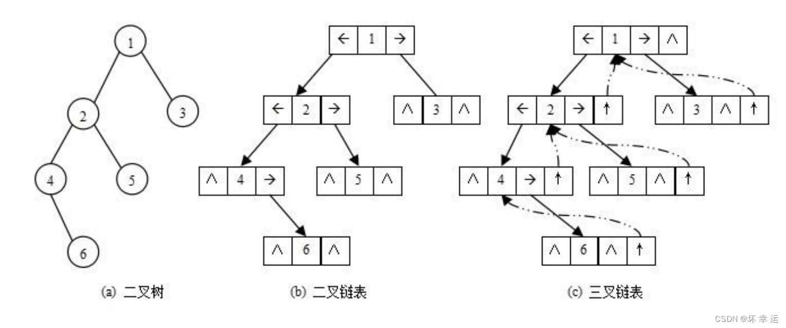 【数据结构】树的介绍
