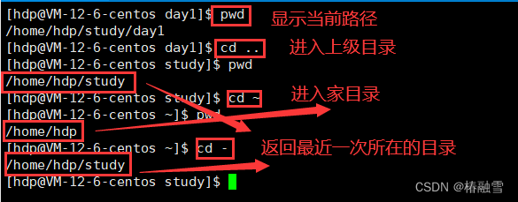 ここに画像の説明を挿入