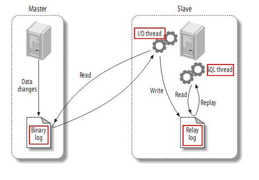 #冲刺创作新星#Docker装canal、mysql实现redis和mysql缓存一致性-鸿蒙开发者社区