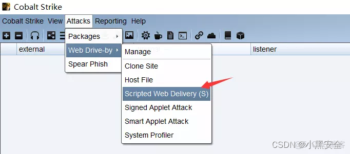 Cobalt Strike基本使用_web服务_22