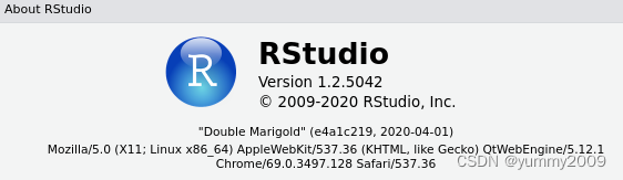 centos6下为Rstudio安装多版本R