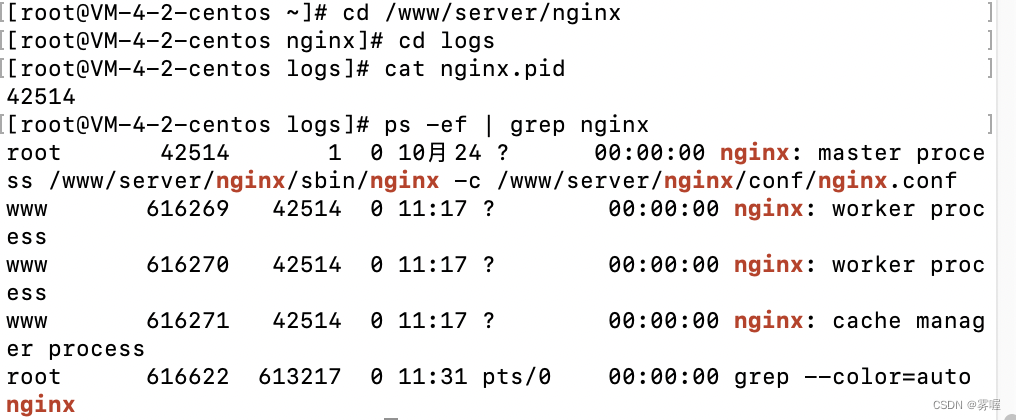 浅聊一下Nginx