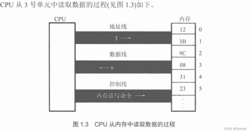 总线分为地址总线，控制总线和数据总线