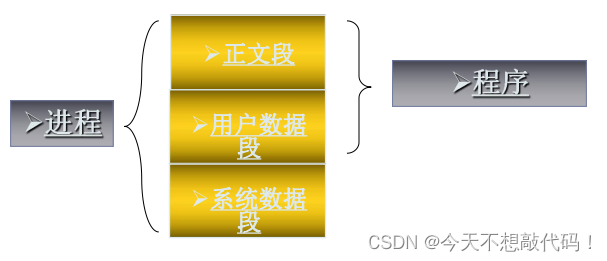 进程和程序各自包含的内容