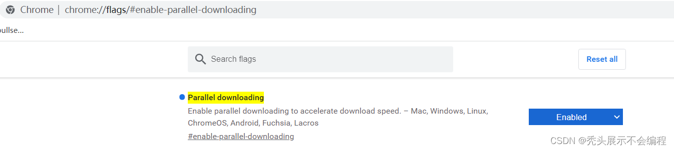 Chromium浏览器的一些使用总结