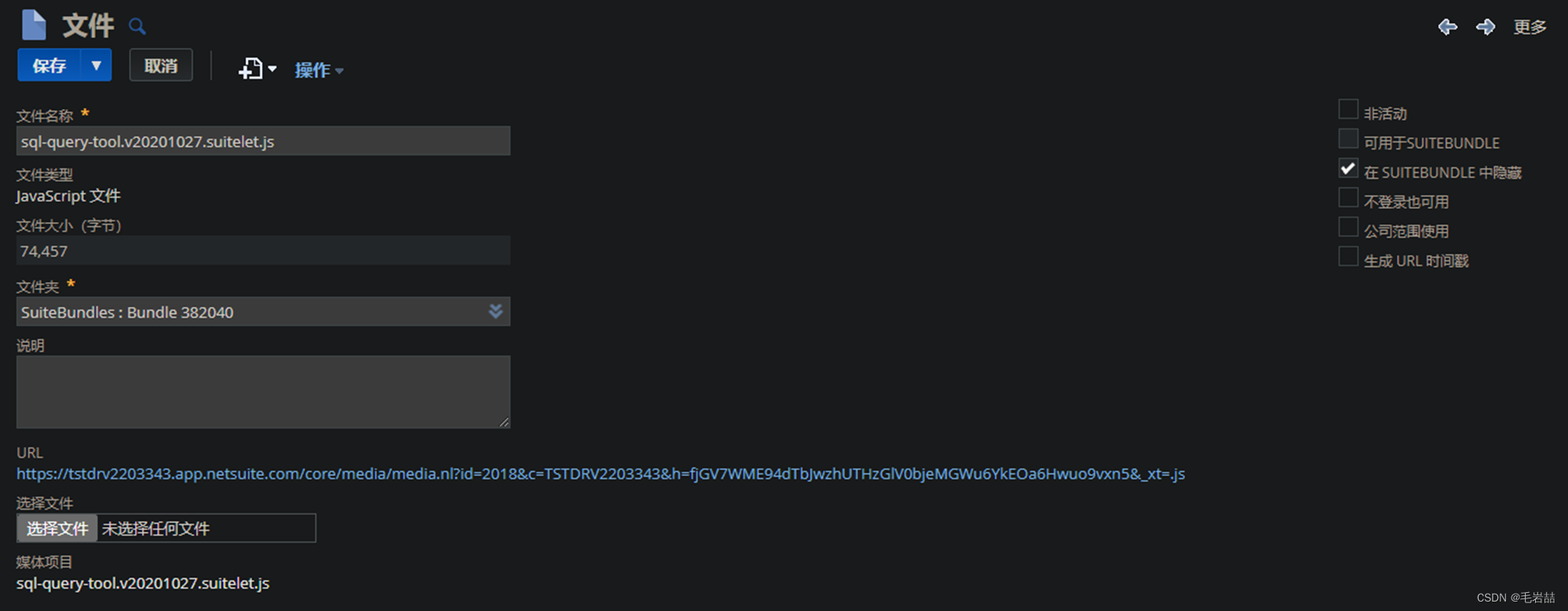 NetSuite SuiteQL Query ToolCSDN博客