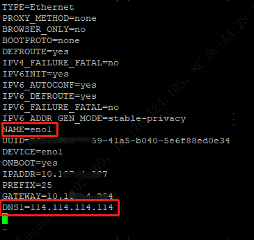 linux 配置 DNS 服务器用于解析本地请求