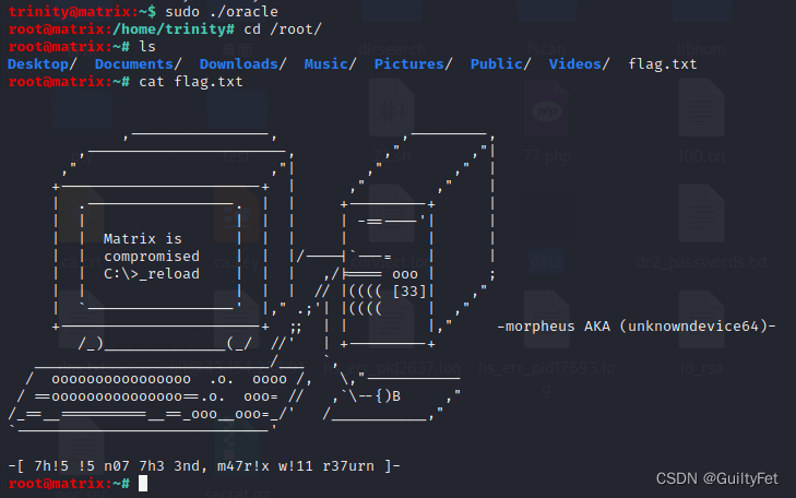 OSCP_VULHUB_Matrix3