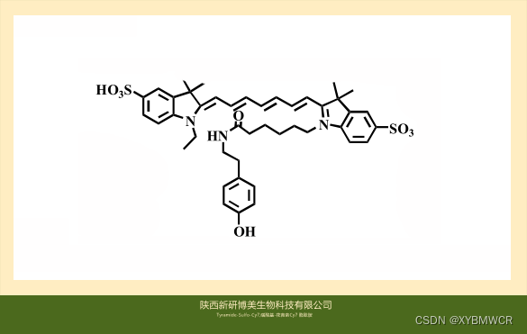 水溶性荧光团磺酸基-花青素Cy7 酪酰胺，Tyramide-Sulfo-Cy7