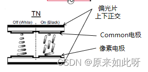 ここに画像の説明を挿入