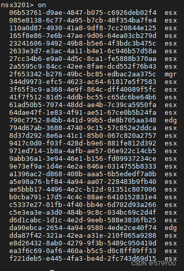 vmware-nsx-cli-579you-csdn