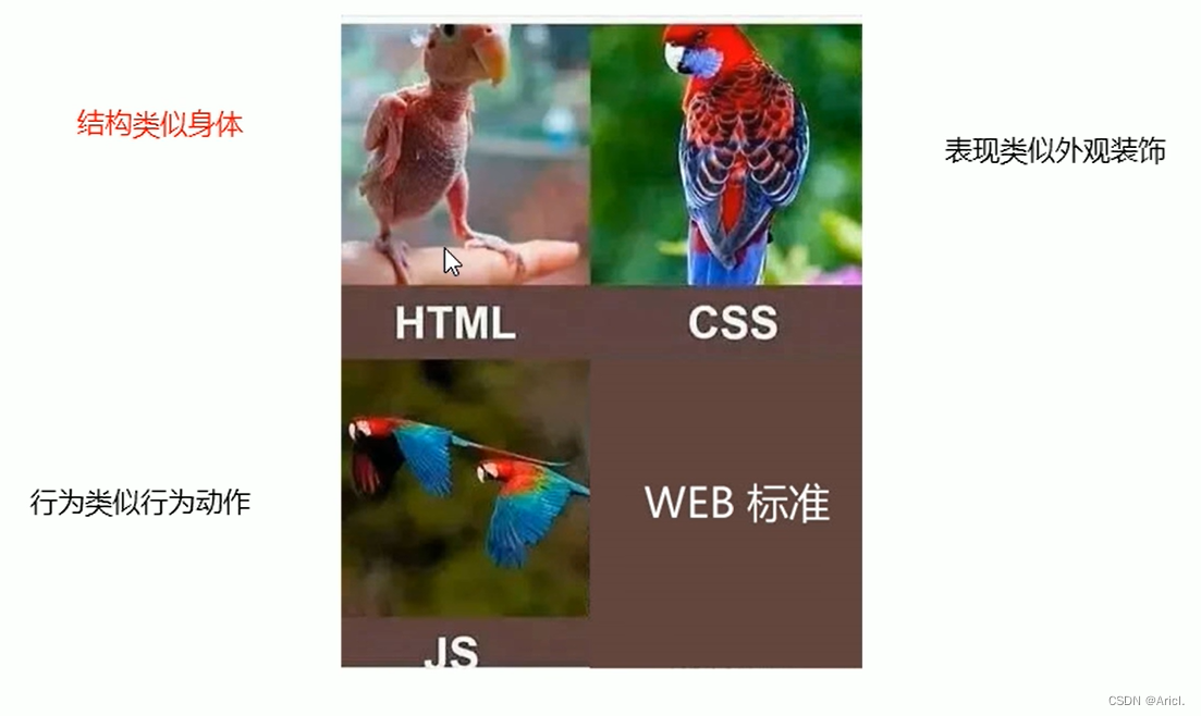 Web应用开发介绍