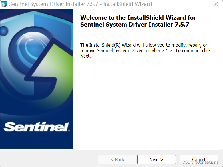 Sentinel system driver что это