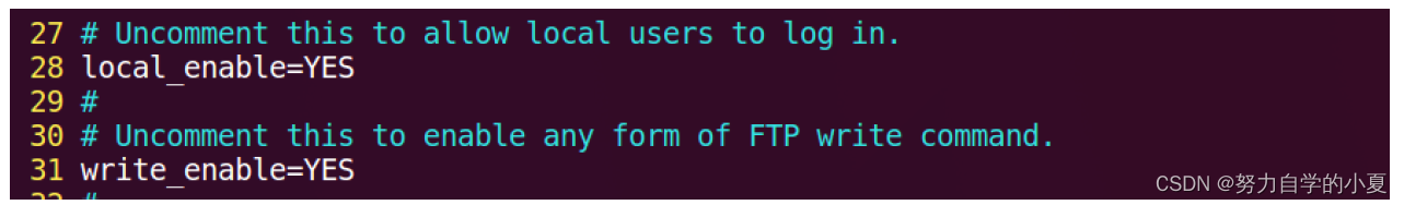 vsftpd.conf修改结果