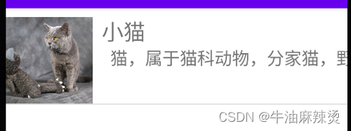 如何通过RecyclerView控件显示一个动物列表界面，使用RecyclerView控件展示动物列表界面的方法