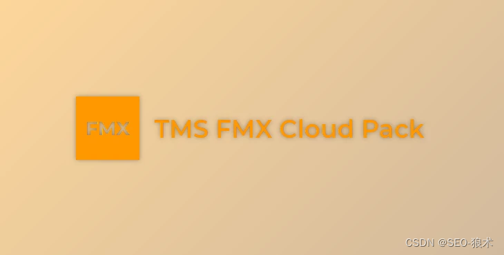 TMS FMX Cloud提供集成元素