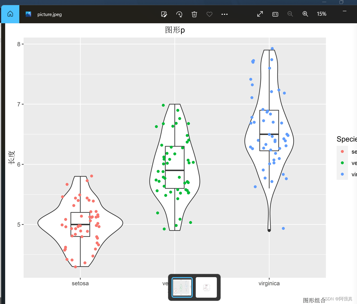 R语言ggplot2绘制小提琴图,箱线图,抖动图_ggplot2 小提琴图加箱线图-CSDN博客