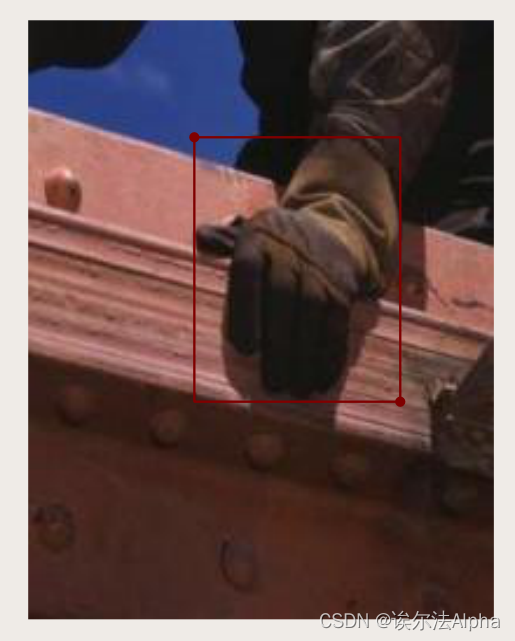 insert image description here