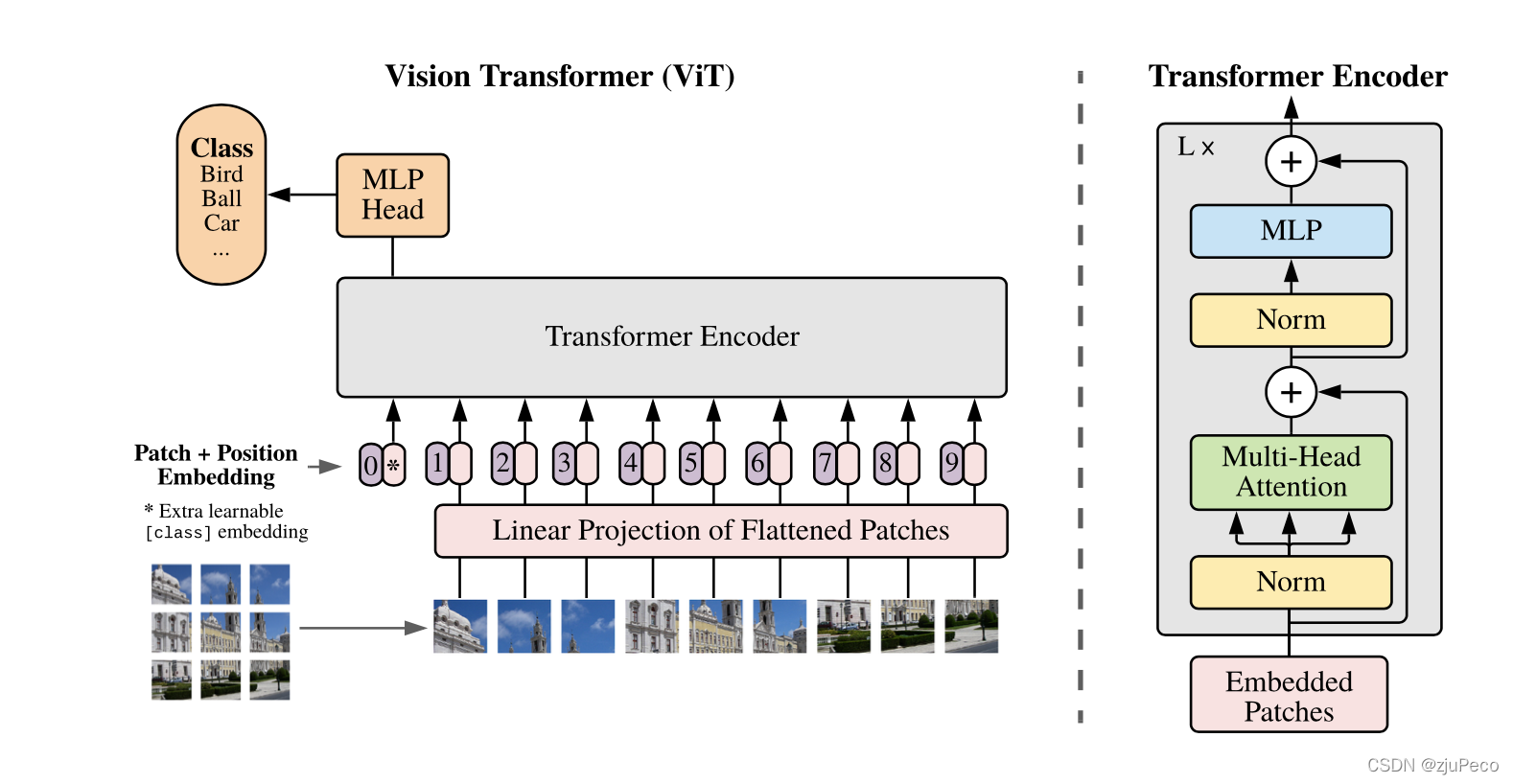 vision transformer示意图