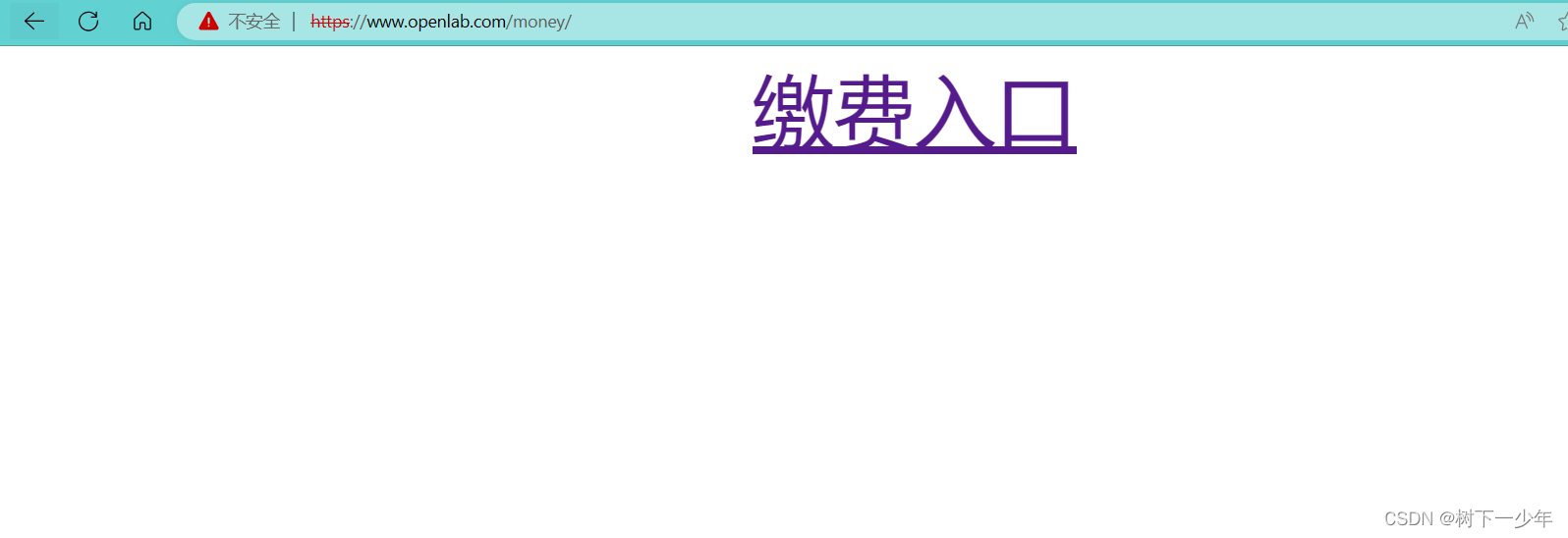 Linux搭建web网站服务练习，基于IP/端口/域名访问网站，搭建虚拟用户控制的网站，配置https加密访问