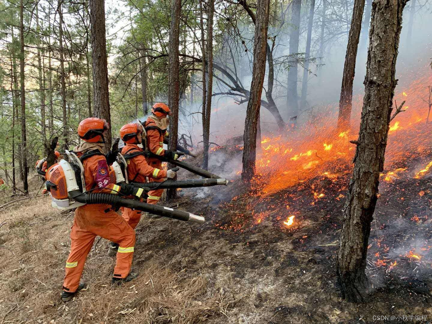 基于yolo做目标检测的例程_实时目标检测