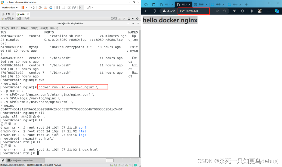 docker应用部署---nginx部署的配置