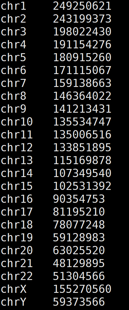 size.genome.no.mt