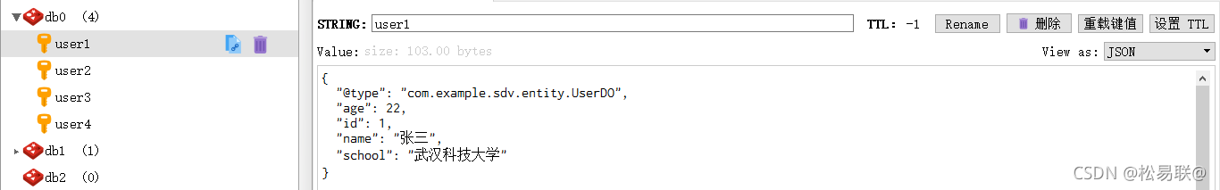 使用序列化配置