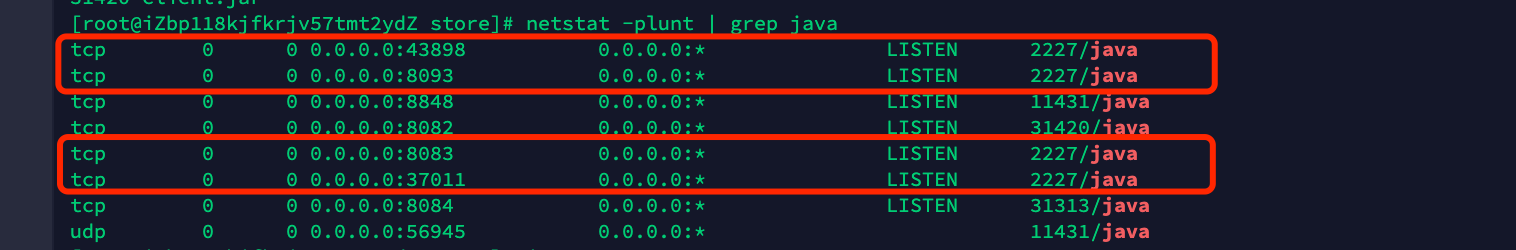 netstat -plunt | grep java命令返回