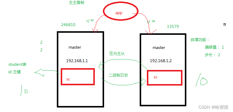 [外链图片转存失败,源站可能有防盗链机制,建议将图片保存下来直接上传(img-cywXazvU-1689787496637)(D:\Snipaste\03【电脑截图软件】snipaste截图软件\Typora\mysql\主从复制和集群\主主复制.png)]