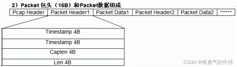 pacp格式文件分析